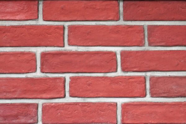 nsvistaa red brick RG-3 T2
